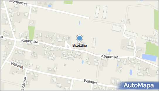 Brzezina (powiat średzki), Brzezina - Inne