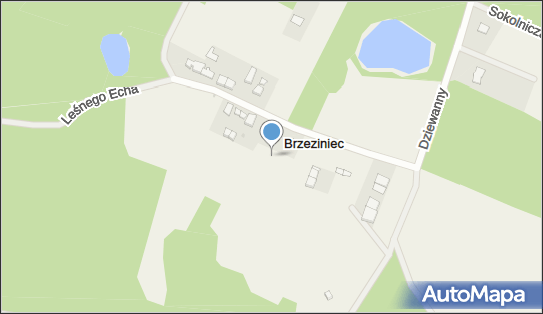 Brzeziniec (województwo pomorskie), Brzeziniec, Brzeziniec 76-248 - Inne