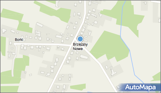 Brzeziny Nowe, Brzeziny Nowe - Inne