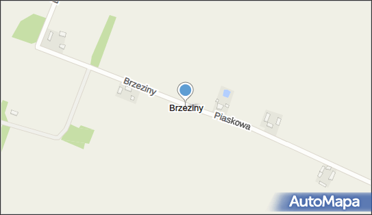 Brzeziny (powiat kutnowski), Brzeziny - Inne