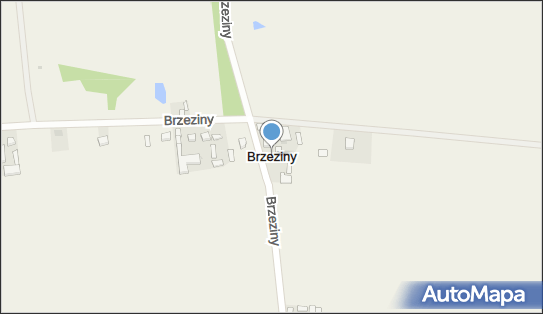 Brzeziny (powiat wieruszowski), Brzeziny - Inne