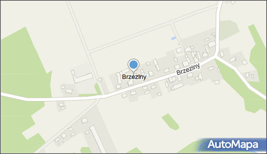 Brzeziny (województwo kujawsko-pomorskie), Brzeziny - Inne