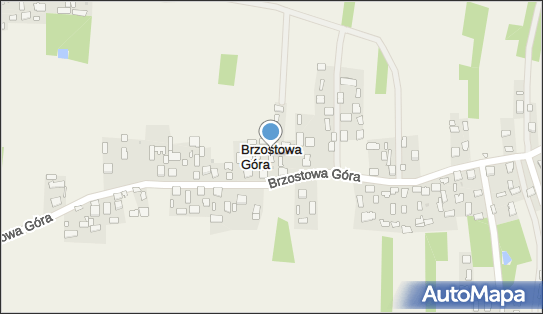 Brzostowa Góra, Brzostowa Góra - Inne