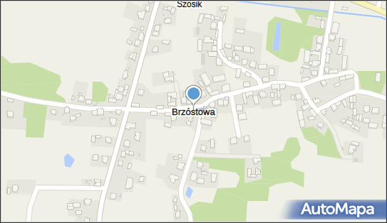 Brzóstowa, Brzóstowa - Inne