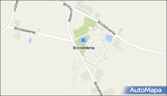 Brzóstownia, Brzóstownia - Inne