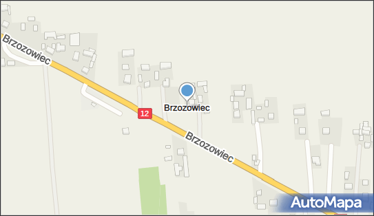 Brzozowiec (powiat sieradzki), Brzozowiec - Inne