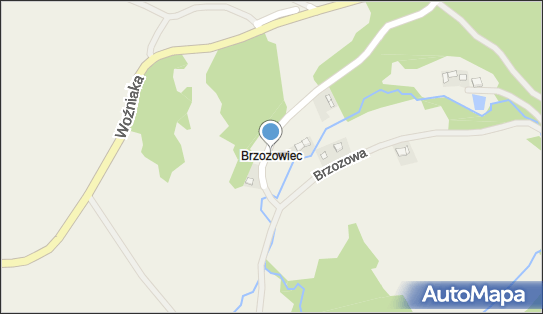 Brzozowiec (województwo podkarpackie), Sosnowa, Czaszyn 38-516 - Inne