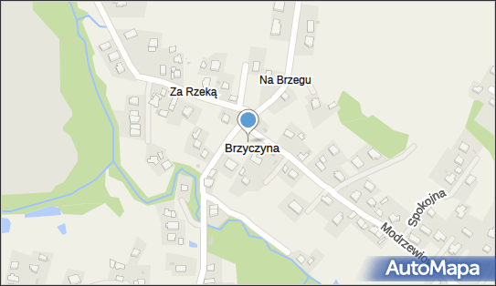 Brzyczyna, Brzyczyna - Inne