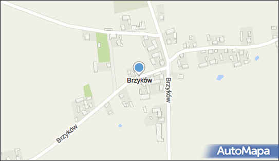 Brzyków (województwo łódzkie), Brzyków - Inne