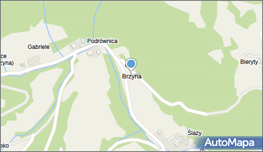 Brzyna, Brzyna - Inne