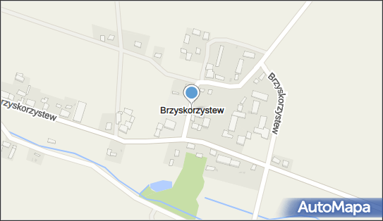 Brzyskorzystew, Brzyskorzystew - Inne