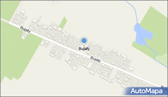 Bujały, Bujały - Inne