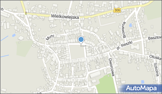 Buk (województwo wielkopolskie), Plac Przemysława, Buk 64-320 - Inne