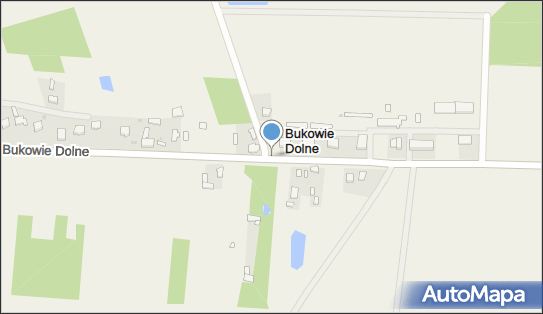 Bukowie Dolne, Bukowie Dolne, Bukowie Dolne 97-403 - Inne