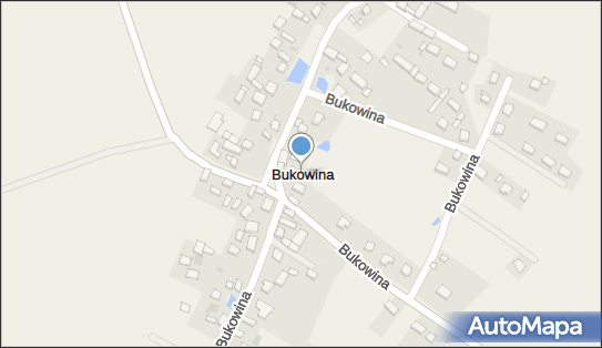 Bukowina (województwo dolnośląskie), Bukowina - Inne