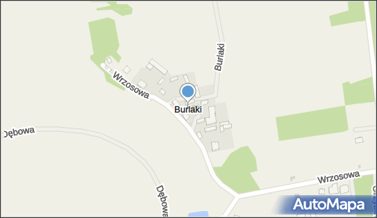 Burlaki, Burlaki - Inne