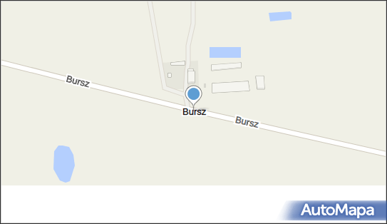 Bursz, Bursz - Inne