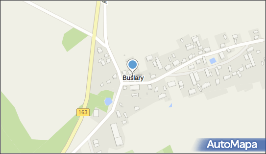 Buślary, Buślary - Inne