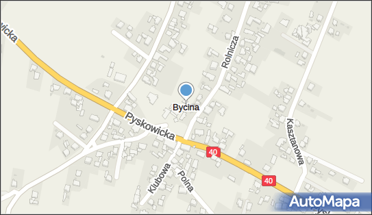 Bycina, Bycina - Inne