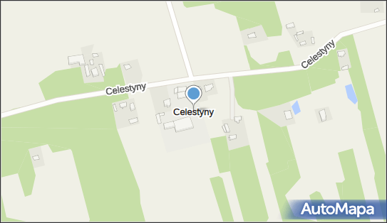 Celestyny, Celestyny - Inne