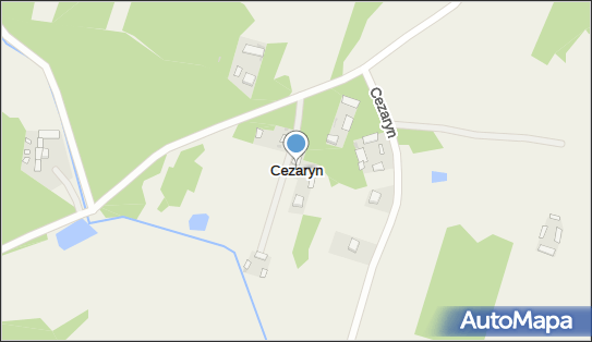 Cezaryn, Cezaryn - Inne