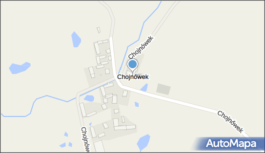 Chojnówek, Chojnówek - Inne