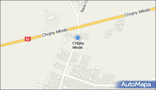 Chojny Młode, Chojny Młode - Inne