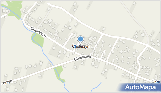 Cholerzyn, Cholerzyn - Inne