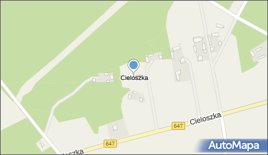 Cieloszka, Cieloszka - Inne