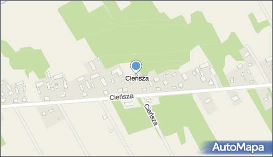 Cieńsza, Cieńsza - Inne