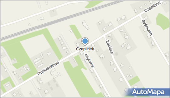 Czaplinek (województwo łódzkie), Czaplinek - Inne