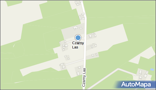 Czarny Las (powiat łaski), Czarny Las - Inne