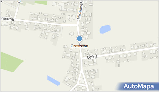 Czeszewo (powiat wrzesiński), Czeszewo - Inne