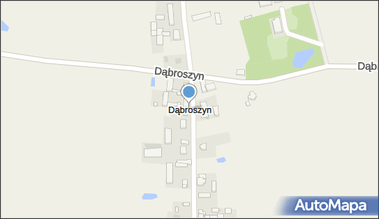 Dąbroszyn (województwo wielkopolskie), Dąbroszyn - Inne