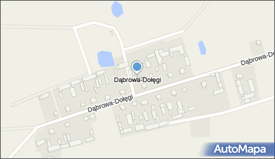 Dąbrowa-Dołęgi, Dąbrowa-Dołęgi - Inne