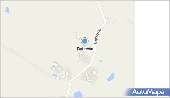 Dąbrowa (powiat ostródzki), Dąbrowa - Inne