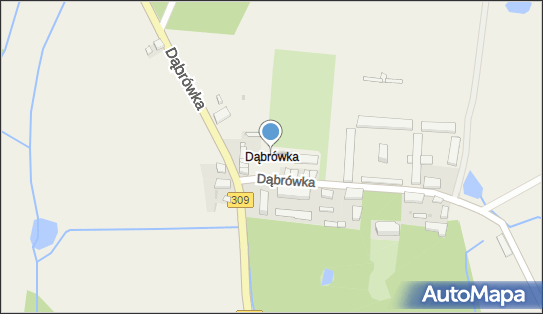 Dąbrówka (powiat rawicki), Dąbrówka - Inne