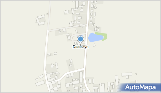 Daleszyn, Daleszyn - Inne