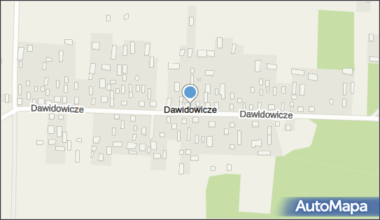 Dawidowicze, Dawidowicze - Inne