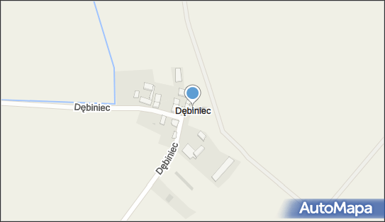 Dębiniec (województwo wielkopolskie), Dębiniec - Inne