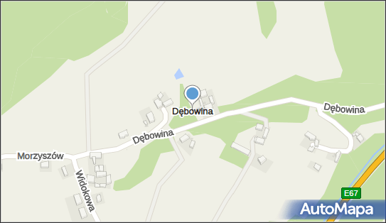 Dębowina, Dębowina - Inne