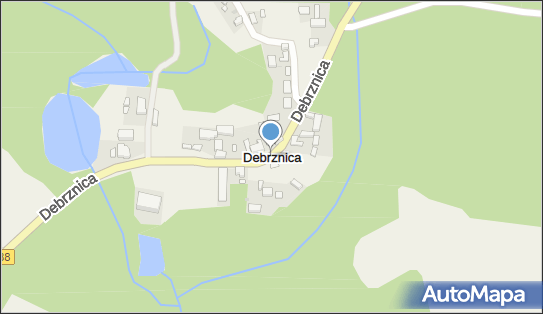 Debrznica, Debrznica - Inne