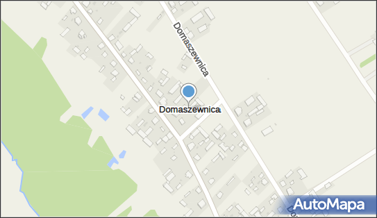 Domaszewnica, Domaszewnica - Inne