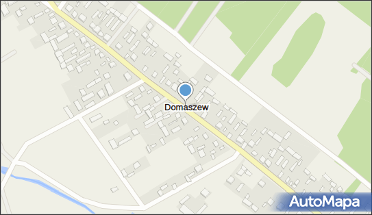 Domaszew, Domaszew - Inne