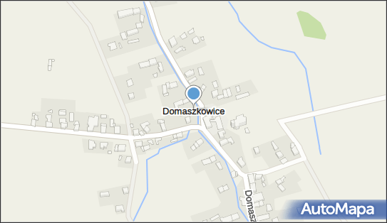 Domaszkowice, Domaszkowice - Inne