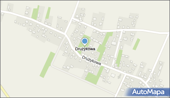 Drużykowa, Drużykowa - Inne