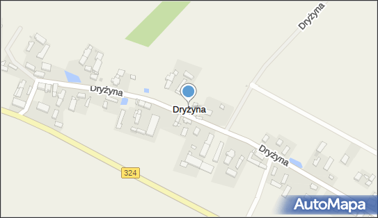 Dryżyna, Dryżyna - Inne