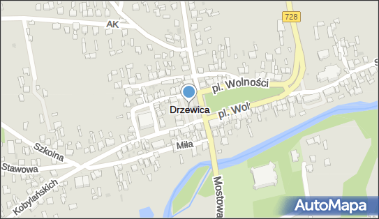 Drzewica (województwo łódzkie), Drzewica - Inne