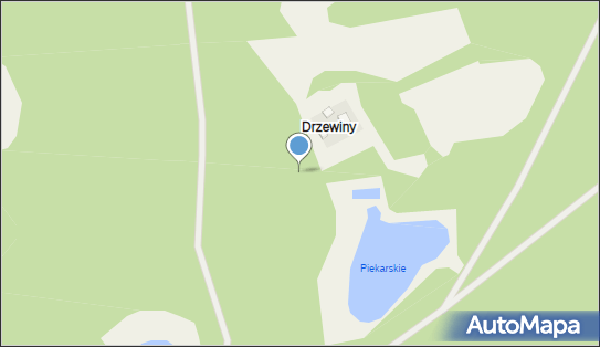 Drzewiny, Drzewiny - Inne