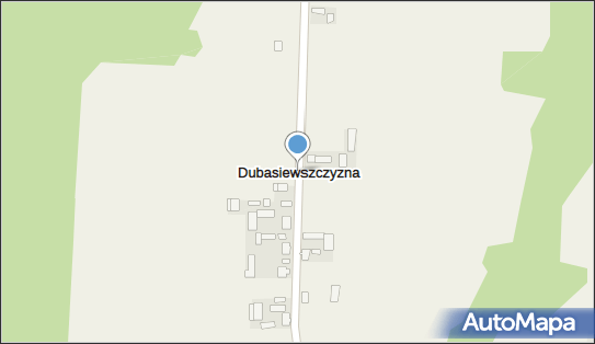 Dubasiewszczyzna, Dubasiewszczyzna - Inne